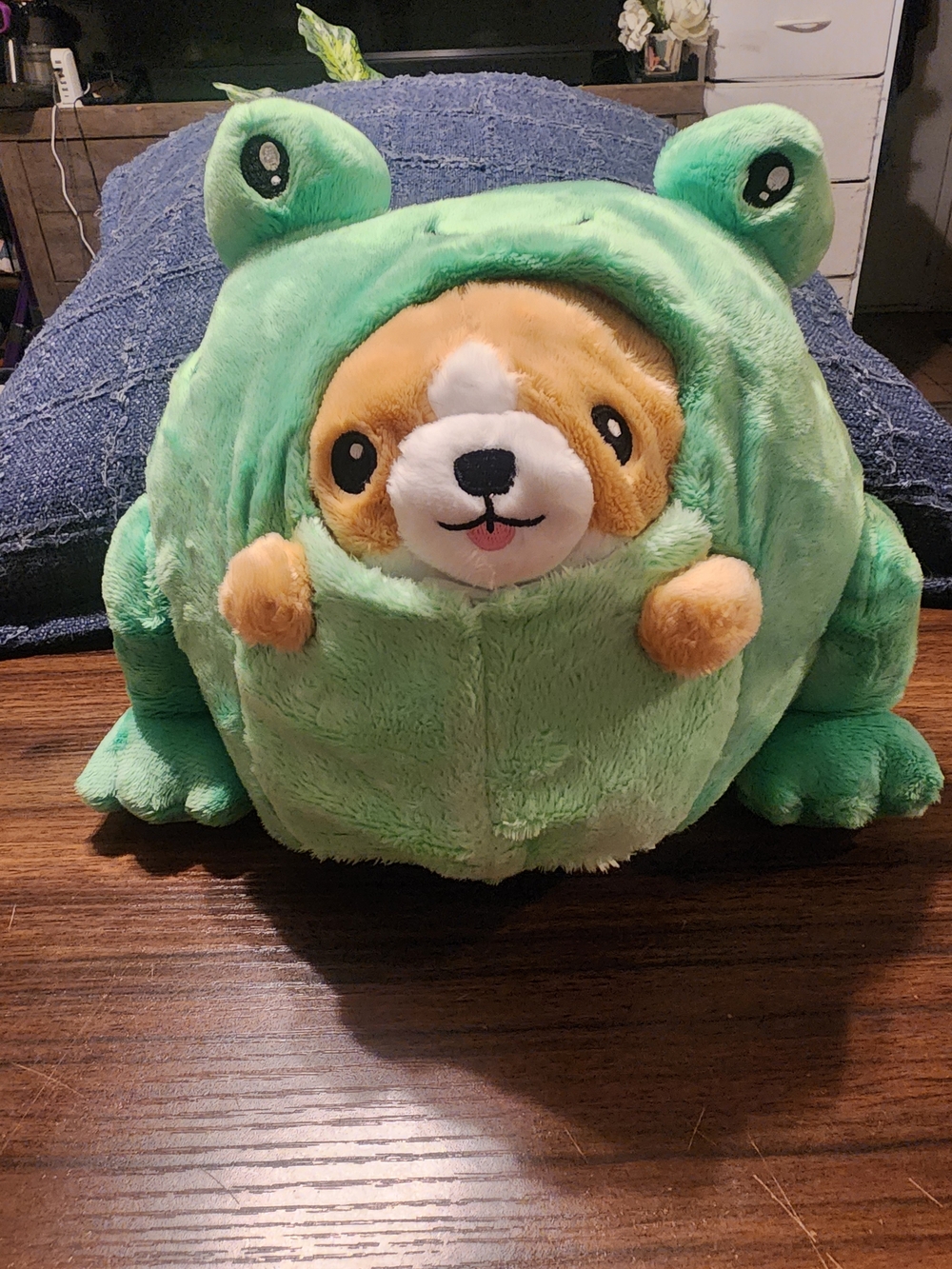 Green Frog Plush with Hidden Dog Character